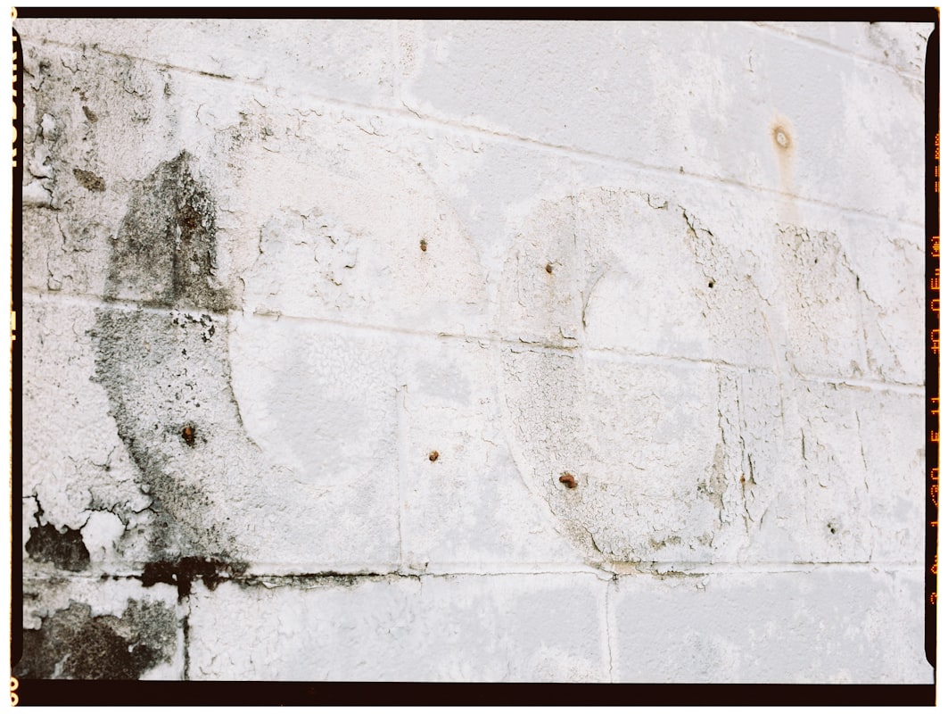 Water Extraction service in Valdosta, GA