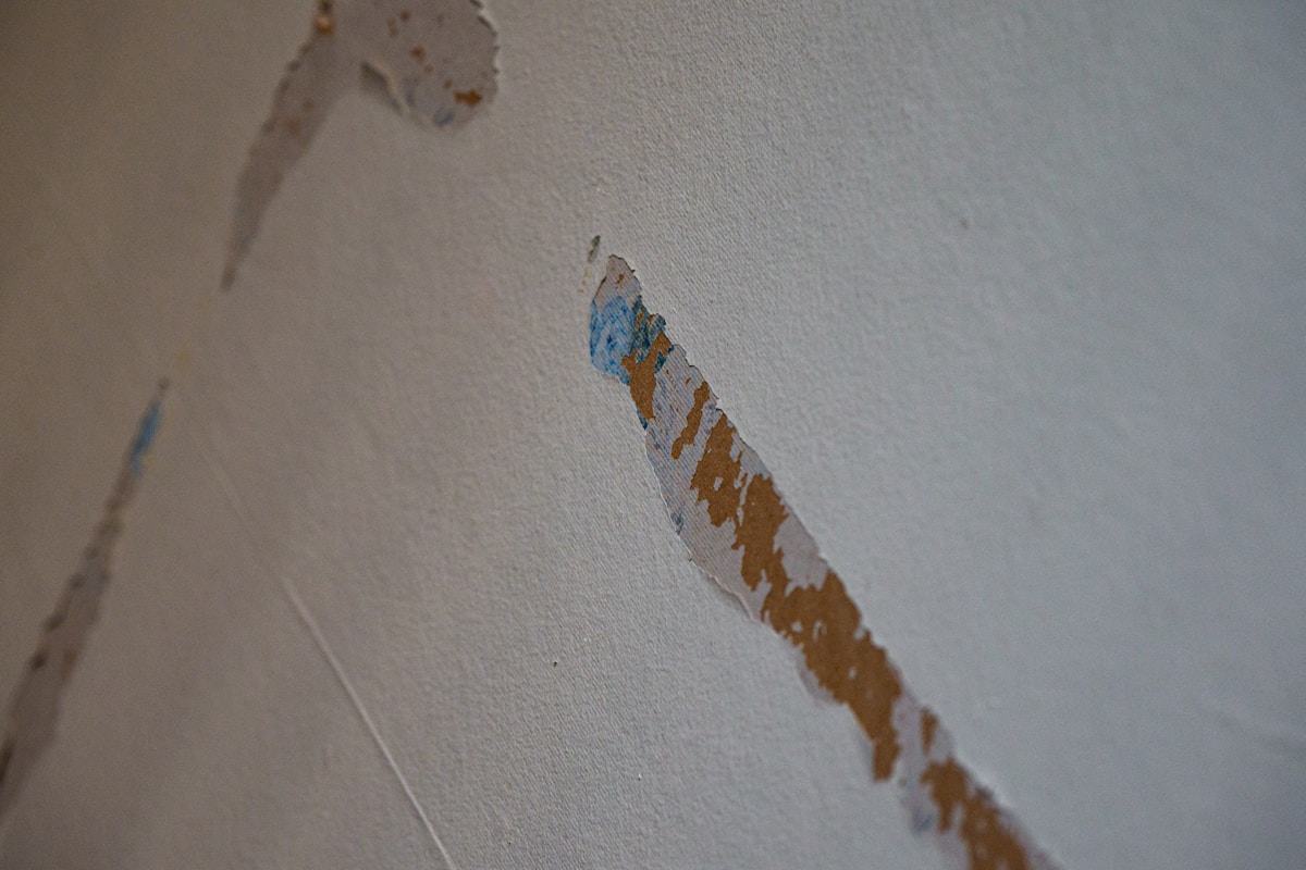 Commercial Water Damage service in Valdosta, GA